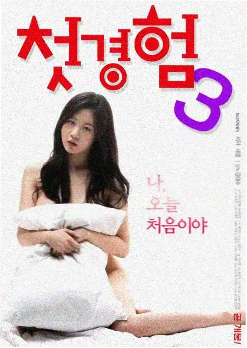 夜航手记作品封面